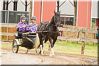 4H-FUN-060813-0488.jpg