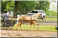 4H-FUN-060813-0490.jpg