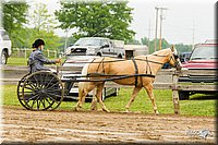 4H-FUN-060813-0491.jpg