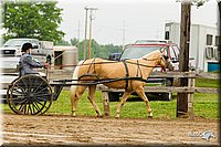 4H-FUN-060813-0492.jpg