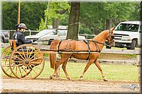 4H-FUN-060813-0493.jpg