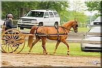4H-FUN-060813-0494.jpg