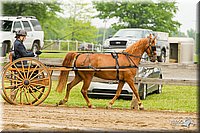 4H-FUN-060813-0495.jpg