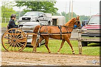 4H-FUN-060813-0496.jpg