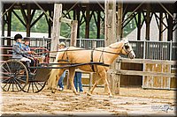 4H-FUN-060813-0497.jpg