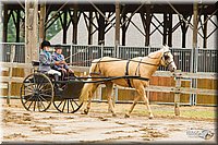 4H-FUN-060813-0498.jpg