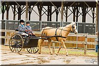 4H-FUN-060813-0499.jpg