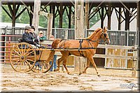 4H-FUN-060813-0500.jpg