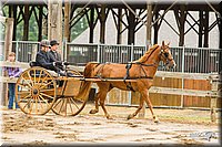 4H-FUN-060813-0501.jpg