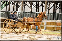 4H-FUN-060813-0502.jpg