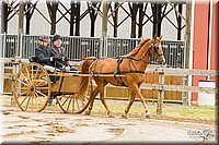 4H-FUN-060813-0503.jpg