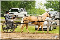 4H-FUN-060813-0504.jpg