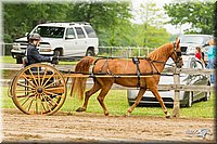 4H-FUN-060813-0505.jpg