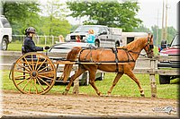 4H-FUN-060813-0506.jpg