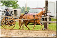 4H-FUN-060813-0507.jpg