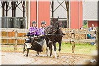 4H-FUN-060813-0508.jpg