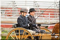 4H-FUN-060813-0512.jpg