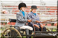 4H-FUN-060813-0515.jpg