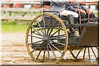4H-FUN-060813-0516.jpg
