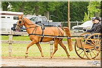 4H-FUN-060813-0517.jpg
