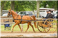 4H-FUN-060813-0518.jpg