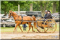 4H-FUN-060813-0519.jpg