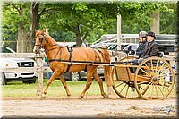 4H-FUN-060813-0520.jpg