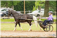 4H-FUN-060813-0521.jpg