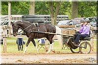 4H-FUN-060813-0522.jpg