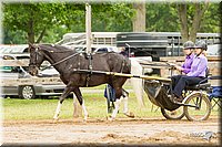 4H-FUN-060813-0523.jpg