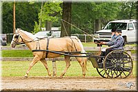 4H-FUN-060813-0524.jpg