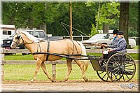4H-FUN-060813-0525.jpg
