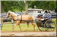 4H-FUN-060813-0526.jpg
