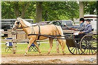 4H-FUN-060813-0527.jpg