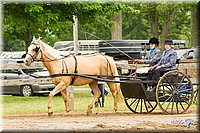 4H-FUN-060813-0528.jpg