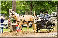 4H-FUN-060813-0529.jpg