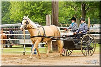4H-FUN-060813-0530.jpg