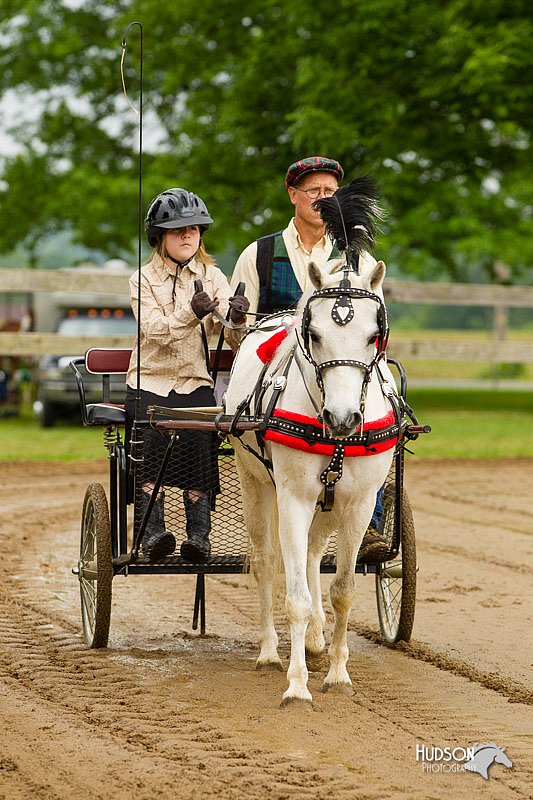 4H-FUN-060813-0446.jpg