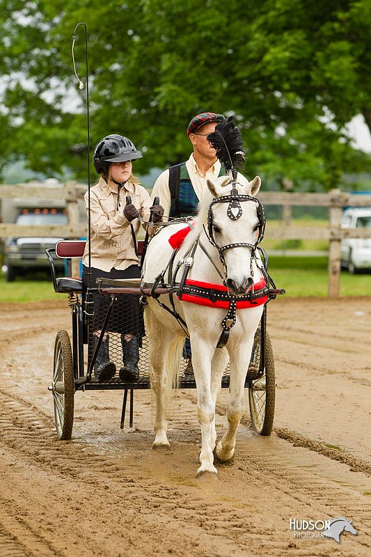 4H-FUN-060813-0447.jpg