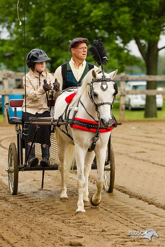 4H-FUN-060813-0448.jpg
