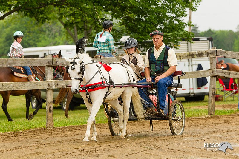 4H-FUN-060813-0451.jpg