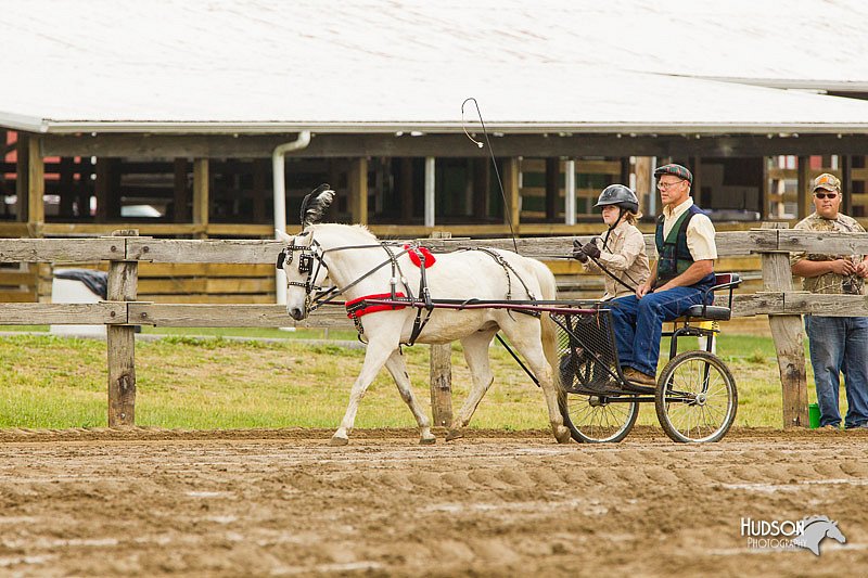 4H-FUN-060813-0452.jpg
