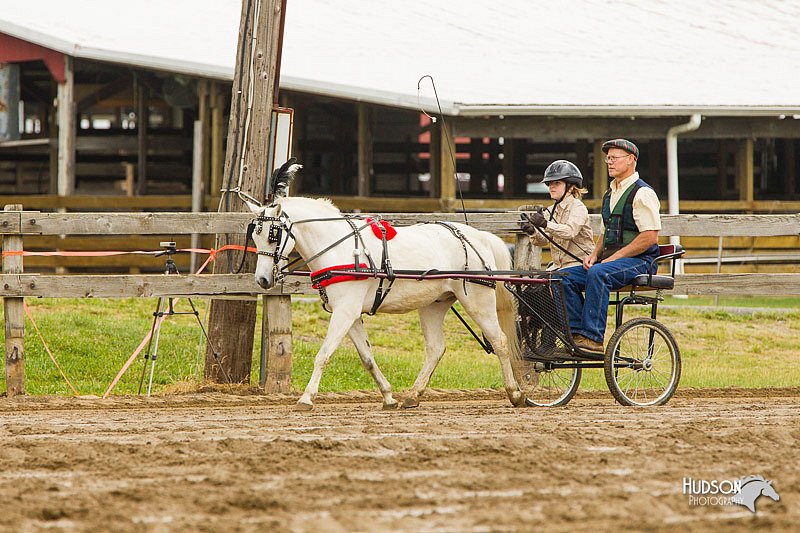 4H-FUN-060813-0453.jpg