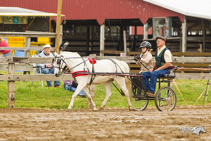 4H-FUN-060813-0454.jpg
