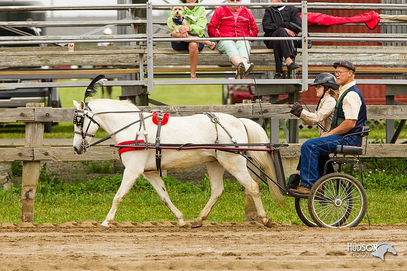 4H-FUN-060813-0455.jpg