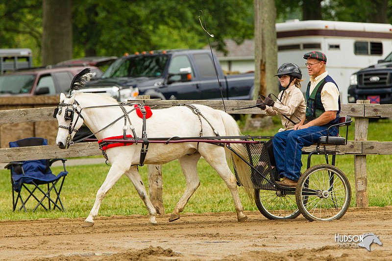 4H-FUN-060813-0457.jpg