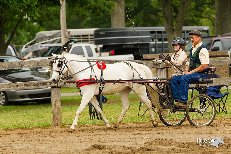 4H-FUN-060813-0458.jpg