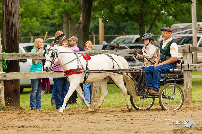 4H-FUN-060813-0459.jpg