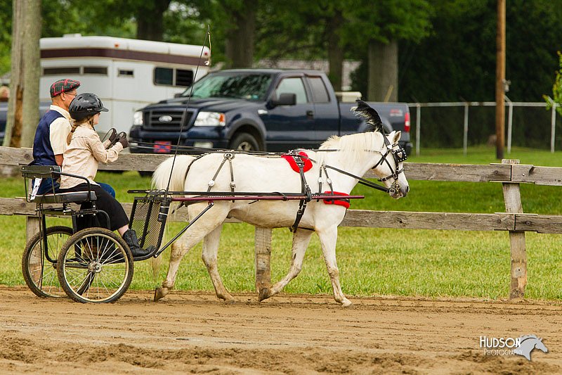 4H-FUN-060813-0460.jpg