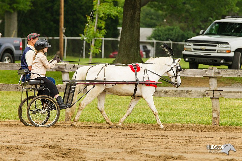 4H-FUN-060813-0461.jpg